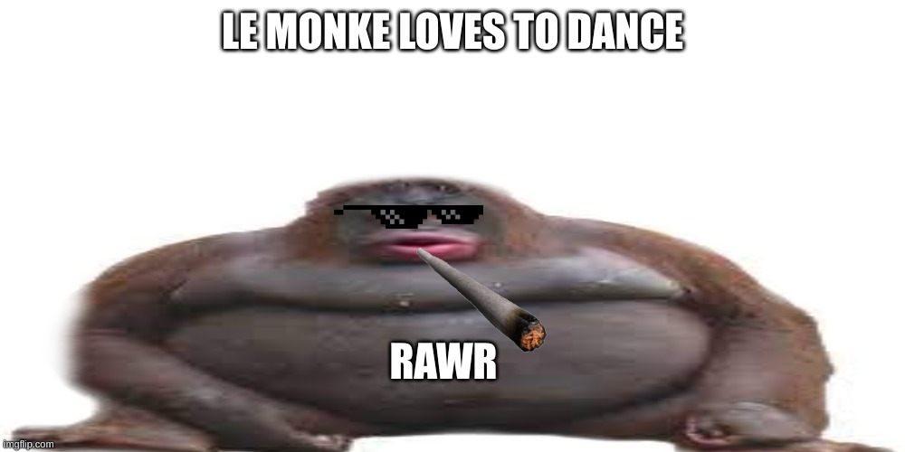 le monke | LE MONKE LOVES TO DANCE; RAWR | image tagged in monkey | made w/ Imgflip meme maker