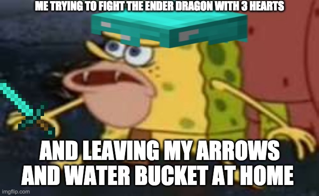 ME TRYING TO FIGHT THE ENDER DRAGON WITH 3 HEARTS; AND LEAVING MY ARROWS AND WATER BUCKET AT HOME | image tagged in minecraft | made w/ Imgflip meme maker