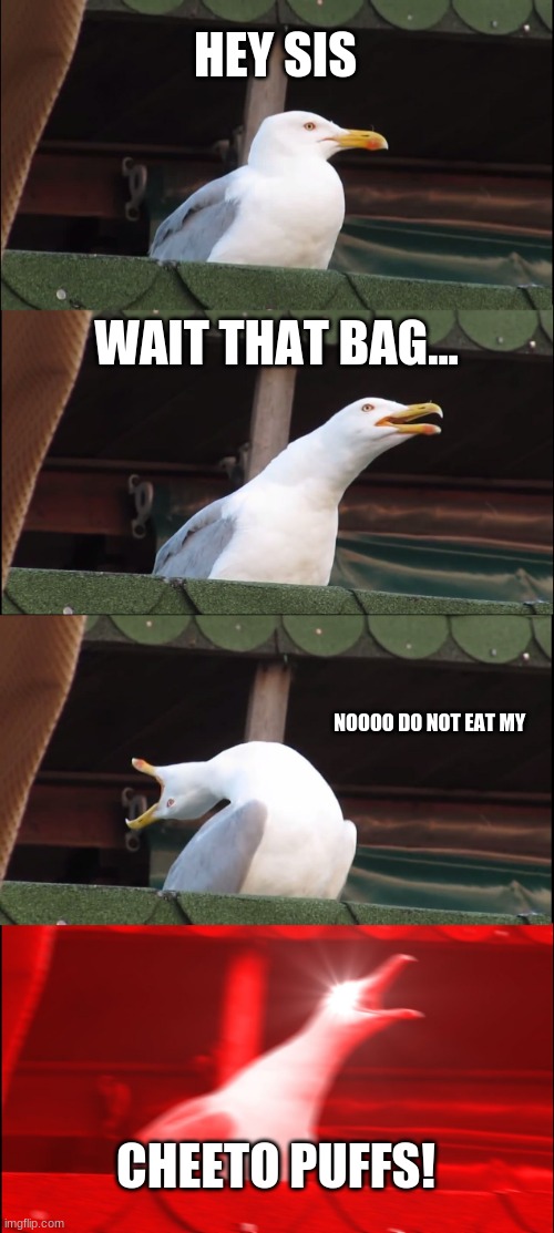 Inhaling Seagull | HEY SIS; WAIT THAT BAG... NOOOO DO NOT EAT MY; CHEETO PUFFS! | image tagged in memes,inhaling seagull,cheetos | made w/ Imgflip meme maker