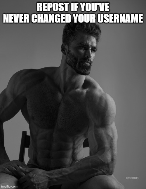 Giga Chad | REPOST IF YOU'VE NEVER CHANGED YOUR USERNAME | image tagged in giga chad | made w/ Imgflip meme maker