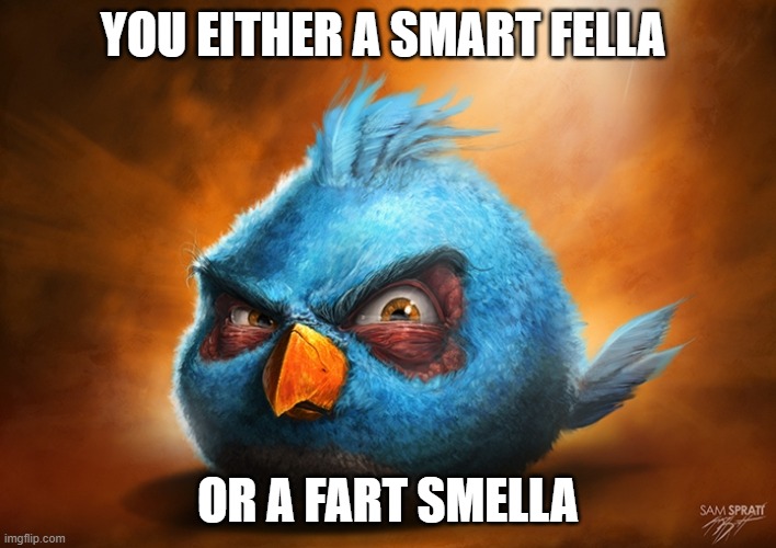 angry birds blue | YOU EITHER A SMART FELLA; OR A FART SMELLA | image tagged in angry birds blue | made w/ Imgflip meme maker