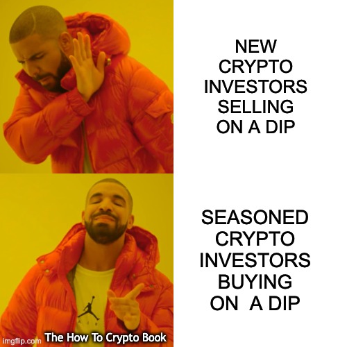 Crypto Drake Hotline |  NEW CRYPTO INVESTORS SELLING ON A DIP; SEASONED CRYPTO INVESTORS BUYING ON  A DIP; The How To Crypto Book | image tagged in memes,drake hotline bling | made w/ Imgflip meme maker