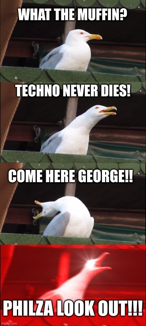 PHILZA LOOK OUT!!!!!!!!!!!!!!! | WHAT THE MUFFIN? TECHNO NEVER DIES! COME HERE GEORGE!! PHILZA LOOK OUT!!! | image tagged in memes,inhaling seagull | made w/ Imgflip meme maker