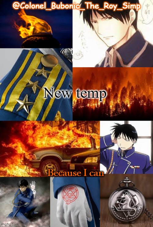 I have more Roy temps then I do braincells | New temp; Because I can | image tagged in i have more roy temps then i do braincells | made w/ Imgflip meme maker