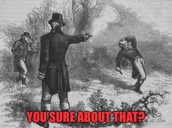 Aaron Burr and Alexander Hamilton | YOU SURE ABOUT THAT? | image tagged in aaron burr and alexander hamilton | made w/ Imgflip meme maker