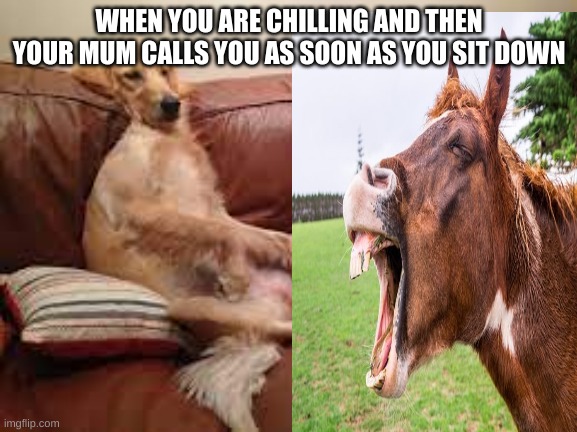 funny memes | WHEN YOU ARE CHILLING AND THEN YOUR MUM CALLS YOU AS SOON AS YOU SIT DOWN | image tagged in funny | made w/ Imgflip meme maker