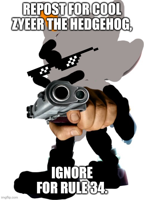 Zyeer the hedgehog | REPOST FOR COOL ZYEER THE HEDGEHOG, IGNORE FOR RULE 34. | image tagged in zyeer the hedgehog | made w/ Imgflip meme maker
