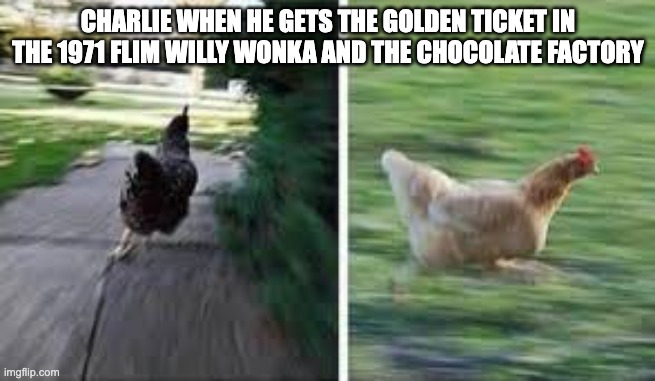 spoiler alert | CHARLIE WHEN HE GETS THE GOLDEN TICKET IN THE 1971 FLIM WILLY WONKA AND THE CHOCOLATE FACTORY | image tagged in running chicken | made w/ Imgflip meme maker