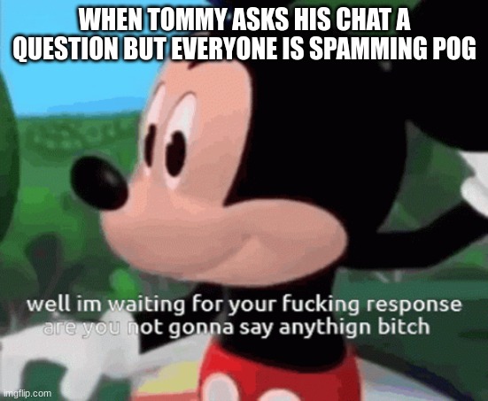 Tommyinnits chat be like: | WHEN TOMMY ASKS HIS CHAT A QUESTION BUT EVERYONE IS SPAMMING POG | image tagged in tommyinnit,dream smp | made w/ Imgflip meme maker