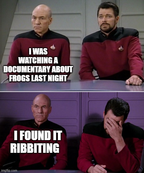Picard Riker listening to a pun | I WAS WATCHING A DOCUMENTARY ABOUT FROGS LAST NIGHT; I FOUND IT RIBBITING | image tagged in picard riker listening to a pun | made w/ Imgflip meme maker