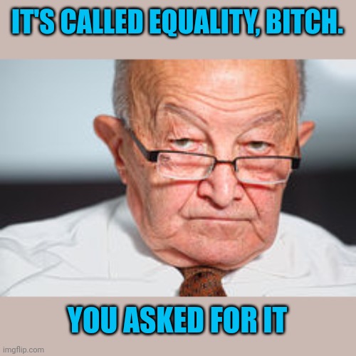 Disapproval | IT'S CALLED EQUALITY, BITCH. YOU ASKED FOR IT | image tagged in disapproval | made w/ Imgflip meme maker