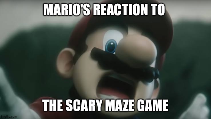 Scared mario | MARIO'S REACTION TO; THE SCARY MAZE GAME | image tagged in scared mario | made w/ Imgflip meme maker