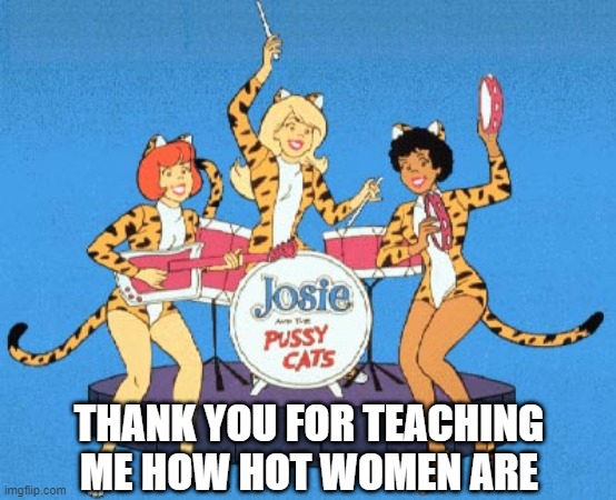 Bless You Josie and the Pussycats | THANK YOU FOR TEACHING ME HOW HOT WOMEN ARE | image tagged in josie and the pussycats | made w/ Imgflip meme maker