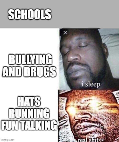i sleep real shit | SCHOOLS; BULLYING AND DRUGS; HATS RUNNING FUN TALKING | image tagged in i sleep real shit | made w/ Imgflip meme maker