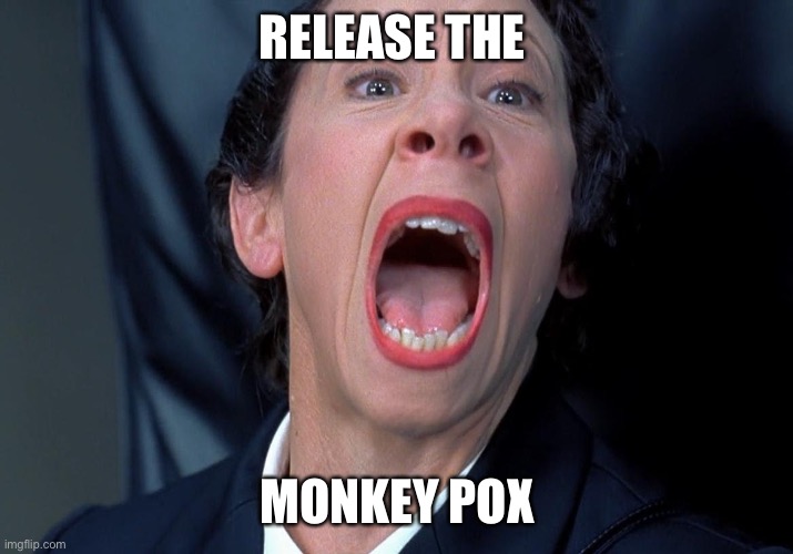 Release the Monkey Pox | RELEASE THE; MONKEY POX | image tagged in frau farbissina | made w/ Imgflip meme maker