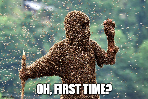 Wasps | OH, FIRST TIME? | image tagged in wasps | made w/ Imgflip meme maker