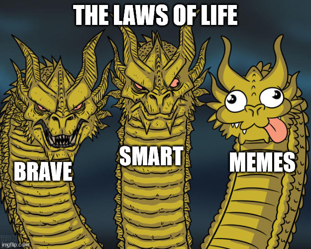 Three-headed Dragon | THE LAWS OF LIFE; SMART; MEMES; BRAVE | image tagged in three-headed dragon | made w/ Imgflip meme maker
