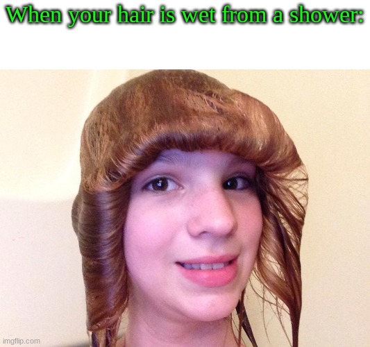 P.S (this is not me lol) | When your hair is wet from a shower: | image tagged in hair,wet | made w/ Imgflip meme maker