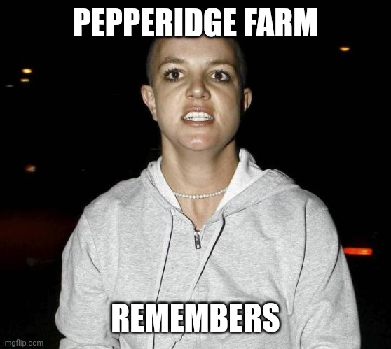 crazy bald britney spears | PEPPERIDGE FARM; REMEMBERS | image tagged in crazy bald britney spears | made w/ Imgflip meme maker