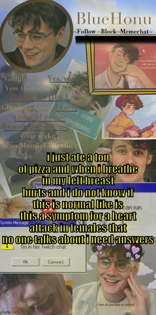 honu's  soft wilbur soot temp | i just ate a ton of pizza and when i breathe in my left breast hurts and i do not know if this is normal like is this a symptom for a heart attack in females that no one talks about i need answers | image tagged in honu's soft wilbur soot temp | made w/ Imgflip meme maker