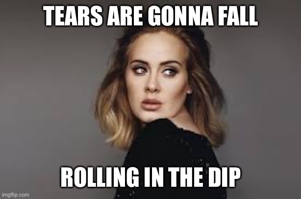 Crypto Dip | TEARS ARE GONNA FALL; ROLLING IN THE DIP | image tagged in adele | made w/ Imgflip meme maker