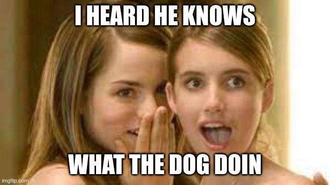 I do know ladies, what the dog doin | I HEARD HE KNOWS; WHAT THE DOG DOIN | image tagged in dog,whisper | made w/ Imgflip meme maker