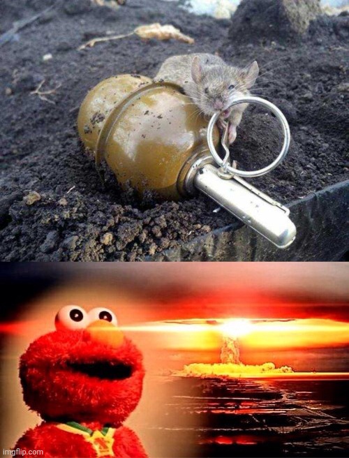 DON'T DO IT! | image tagged in elmo nuclear explosion,mouse,grenade | made w/ Imgflip meme maker