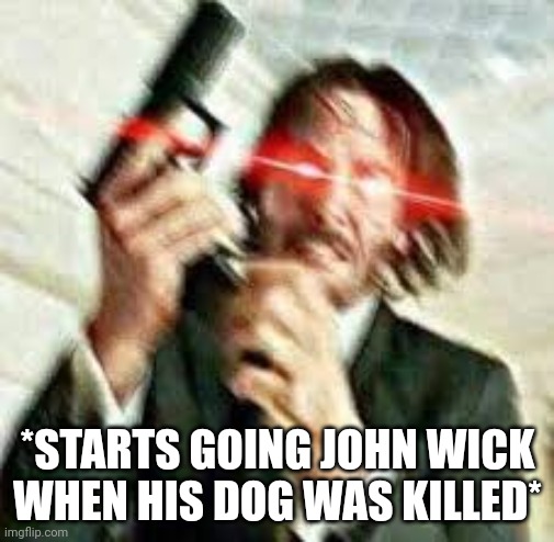 Triggered John Wick | *STARTS GOING JOHN WICK WHEN HIS DOG WAS KILLED* | image tagged in triggered john wick | made w/ Imgflip meme maker