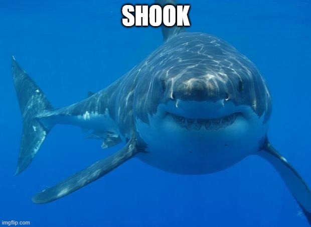 Straight White Shark | SHOOK | image tagged in straight white shark | made w/ Imgflip meme maker