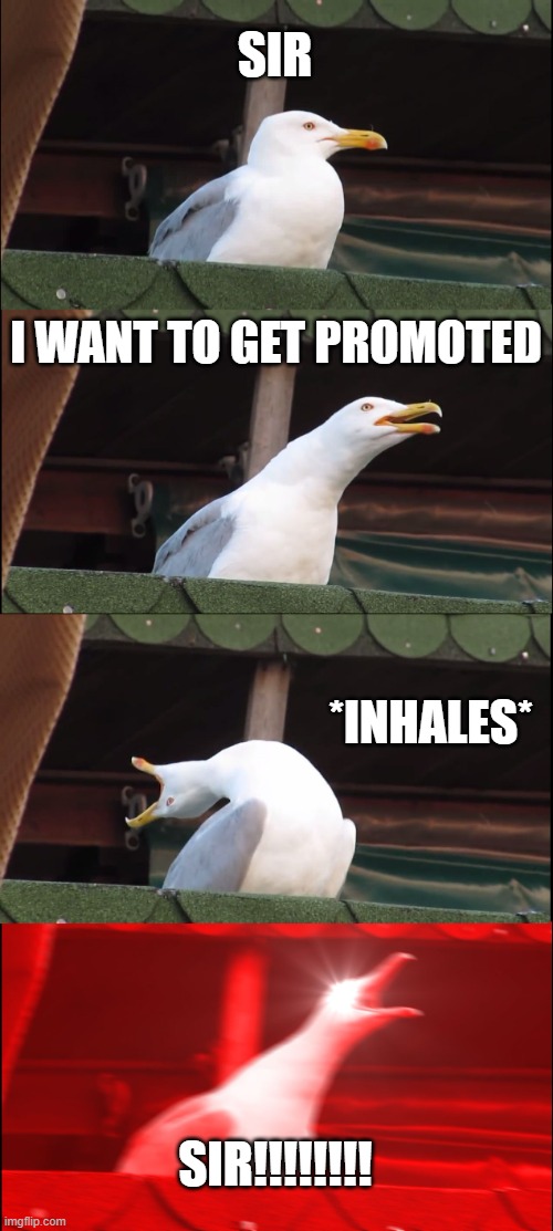 ME TOO!!! | SIR; I WANT TO GET PROMOTED; *INHALES*; SIR!!!!!!!! | image tagged in memes,inhaling seagull | made w/ Imgflip meme maker