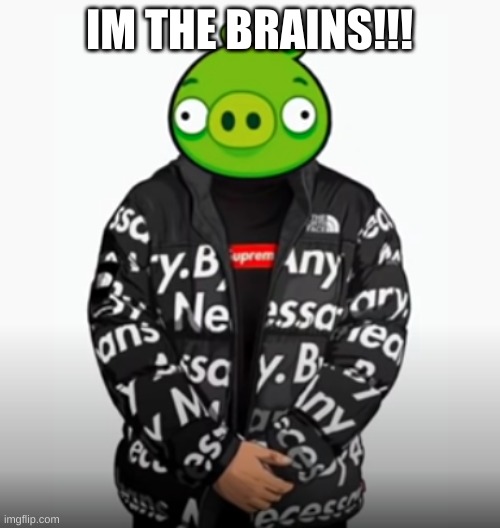 IM THE BRAINS!!! | made w/ Imgflip meme maker