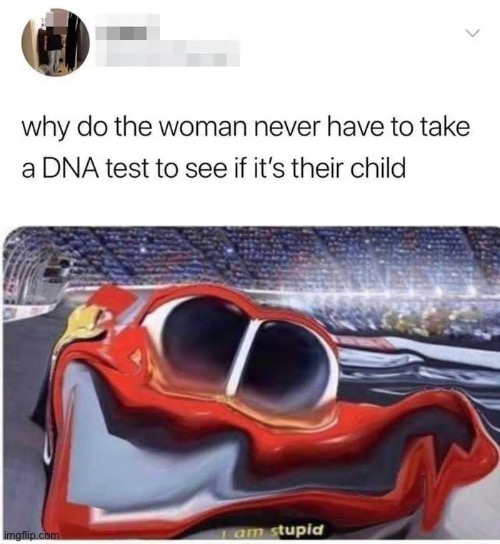 DUH | image tagged in i am stupid | made w/ Imgflip meme maker