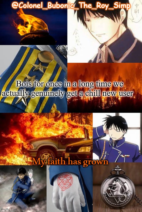 I have more Roy temps then I do braincells | Bois for once in a long time we actually genuinely get a chill new user; My faith has grown | image tagged in i have more roy temps then i do braincells | made w/ Imgflip meme maker