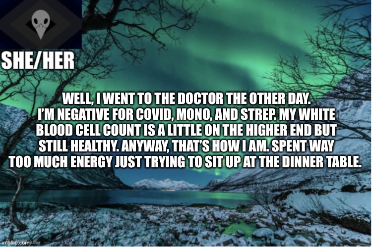 Northern Lights Termcollector Template | WELL, I WENT TO THE DOCTOR THE OTHER DAY. I’M NEGATIVE FOR COVID, MONO, AND STREP. MY WHITE BLOOD CELL COUNT IS A LITTLE ON THE HIGHER END BUT STILL HEALTHY. ANYWAY, THAT’S HOW I AM. SPENT WAY TOO MUCH ENERGY JUST TRYING TO SIT UP AT THE DINNER TABLE. | image tagged in northern lights termcollector template | made w/ Imgflip meme maker