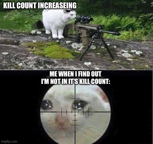 Sniper cat | KILL COUNT INCREASEING; ME WHEN I FIND OUT I'M NOT IN IT'S KILL COUNT: | image tagged in sniper cat | made w/ Imgflip meme maker