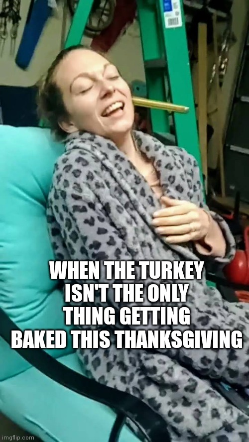 WHEN THE TURKEY ISN'T THE ONLY THING GETTING BAKED THIS THANKSGIVING | image tagged in thanksgiving | made w/ Imgflip meme maker