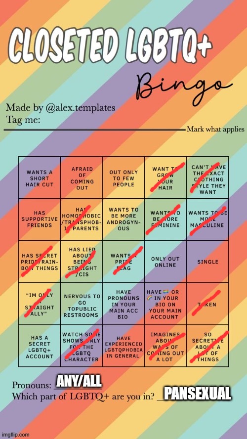 Closeted LGBTQ+ Bingo | ANY/ALL; PANSEXUAL | image tagged in closeted lgbtq bingo | made w/ Imgflip meme maker