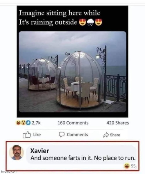 Daily dose of Xavier 1 | image tagged in funny memes | made w/ Imgflip meme maker