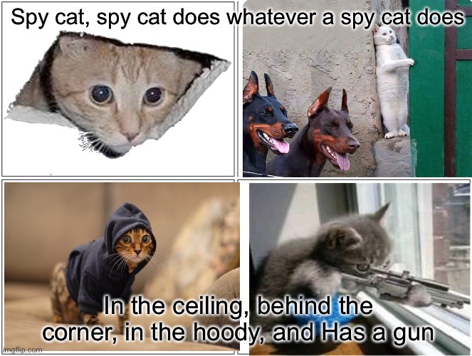 Blank Comic Panel 2x2 Meme | Spy cat, spy cat does whatever a spy cat does; In the ceiling, behind the corner, in the hoody, and Has a gun | image tagged in memes,blank comic panel 2x2 | made w/ Imgflip meme maker