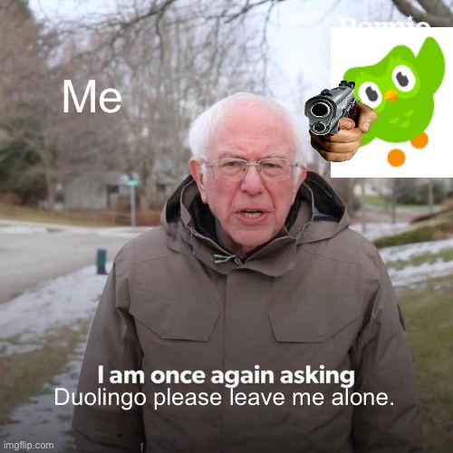 Please stop | Me; Duolingo please leave me alone. | image tagged in memes,bernie i am once again asking for your support | made w/ Imgflip meme maker