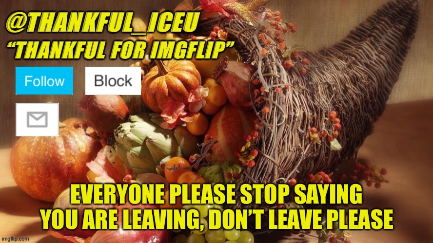 Please don’t leave | EVERYONE PLEASE STOP SAYING YOU ARE LEAVING, DON’T LEAVE PLEASE | image tagged in dr_iceu thanksgiving template | made w/ Imgflip meme maker