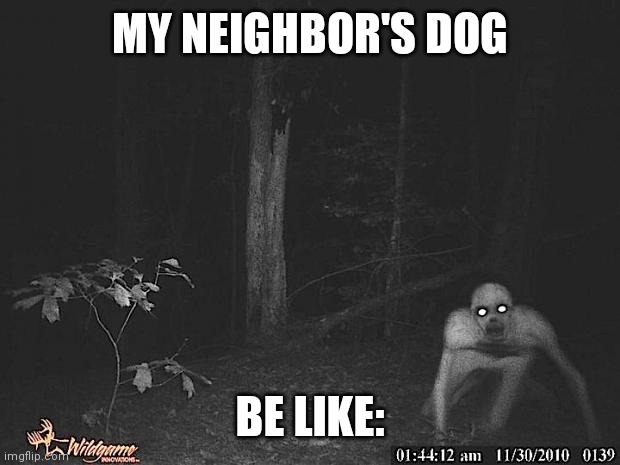 The Rake  | MY NEIGHBOR'S DOG; BE LIKE: | image tagged in the rake | made w/ Imgflip meme maker