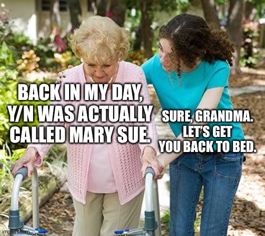 Most Of Y’all Probably Won’t Get This | BACK IN MY DAY, Y/N WAS ACTUALLY CALLED MARY SUE. SURE, GRANDMA. LET’S GET YOU BACK TO BED. | image tagged in sure grandma let's get you to bed | made w/ Imgflip meme maker