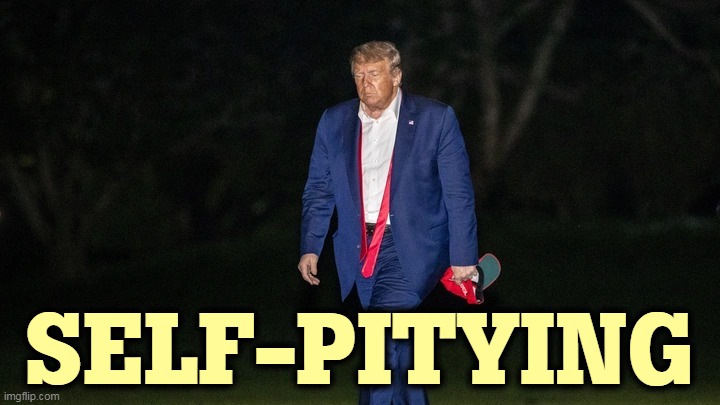 Trump Tulsa Big Fat Loser Defeat | SELF-PITYING | image tagged in trump tulsa big fat loser defeat | made w/ Imgflip meme maker