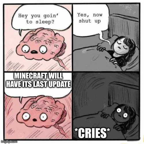 sad boi | MINECRAFT WILL HAVE ITS LAST UPDATE; *CRIES* | image tagged in hey you going to sleep | made w/ Imgflip meme maker