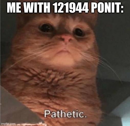 Pathetic Cat | ME WITH 121944 PONIT: | image tagged in pathetic cat | made w/ Imgflip meme maker