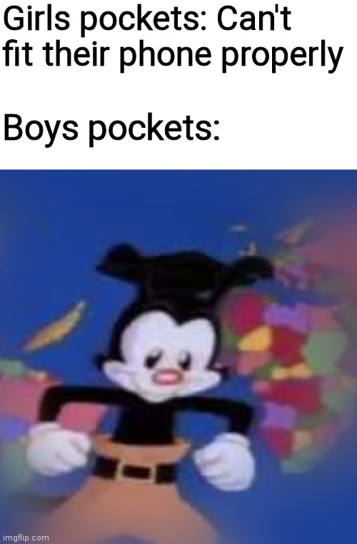  Girls pockets: Can't fit their phone properly; Boys pockets: | image tagged in memes,blank transparent square,yakko | made w/ Imgflip meme maker