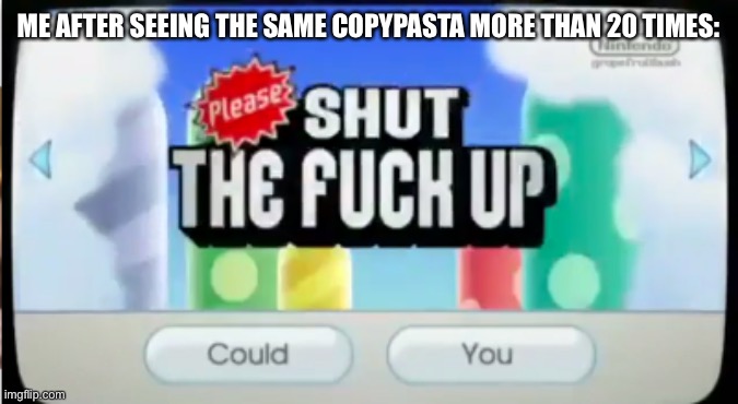 please shut the f up | ME AFTER SEEING THE SAME COPYPASTA MORE THAN 20 TIMES: | image tagged in please shut the f up | made w/ Imgflip meme maker