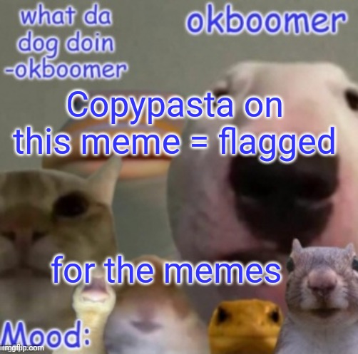 e | Copypasta on this meme = flagged; for the memes | image tagged in okboomer template v4 credit to yeetrex | made w/ Imgflip meme maker