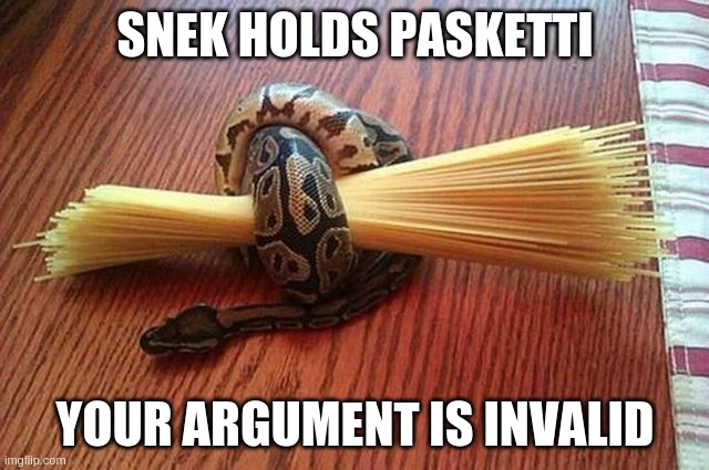 Snek Holds Pasketti | SNEK HOLDS PASKETTI; YOUR ARGUMENT IS INVALID | image tagged in your argument is invalid | made w/ Imgflip meme maker